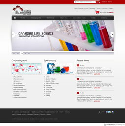 加拿大WebDesignerPS網(wǎng)頁(yè)設(shè)計(jì)作品集（四） 創(chuàng)新、簡(jiǎn)約與用戶體驗(yàn)的完美融合